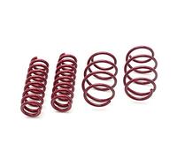 Vogtland 950321 Lowering Springs