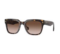 VOGUE EYEWEAR Man VO5490S W65613 Sunglasses Acetate Brown Brown Squared Normal Shaded