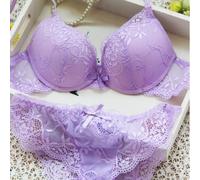 Vogue Secret Brand Lace Embroidery Bra Set Women Plus Size Push Up Padded Sexy Underwear Set Bra and Panties 32 34 36 ABC Cup