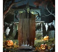 Voice Activated Halloween Animatronics Hanging Witch, Green Outsunny Green One Size