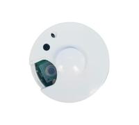 Voice Box 30-Second Recordable Small Replacement