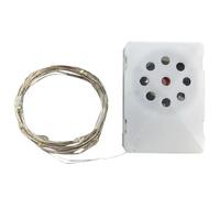 Voice for Birthday - Record Personalized Voices | Decorations for with String Lights Happy Birthday for Mom Daughter Son Wife Husband Friends Celebrations