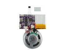 Voice Module, Magnet Sensor Control Activated MP3 Music Sound Chips, 16MB Sound Module for Crafts, Christmas, New Year Greeting Cards & Box with Speaker Lithium Battery Powered and USB Cable.