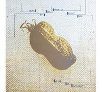 Voice of Authority - Very Big In America Right Now [Vinyl LP]