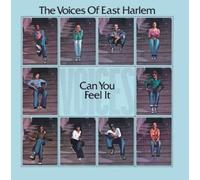 Voice of East Harlem - Can You Feel It