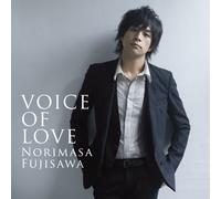 Voice of Love [CD/Dvd]