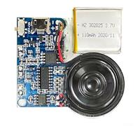 Voice Recording Module 8MB Memory DIY Greeting Card Chip | 120 seconds recording, USB upload support, for mp3 format compatible, loud clear audio, holiday essential