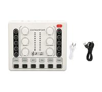 Voice Sound Survey Board with Upper Sound Quality for Live Transmission of the House, for Podcast Mixers, Built -in Lithium Battery Included