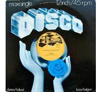 Voice - The House Of The Rising Sun