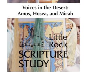 Voices in the Desert: Amos, Hosea, Micah: 10 Sessions