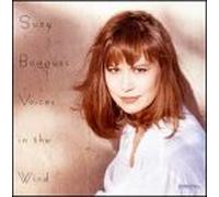 Voices in the Wind [CASSETTE]