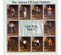 Voices Of East Harlem - Can You Feel It