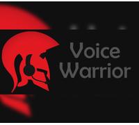 VoiceWarrior Steam CD Key