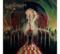 Voidceremony - Entropic Reflections Continuum/Dimensional Unravel