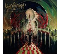 Voidceremony - Entropic Reflections Continuum/Dimensional Unravel [VINYL]