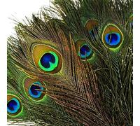 VoilaLove 100PCS Natural Peacock Feathers with Eye Peacock Tail Feathers 10-12inch (25-30cm) for Wedding Party Arts And Crafts Home Decorations (100)