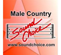 Vol. 2-Sentimental Journeys