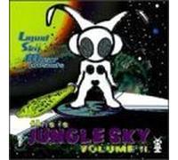 Vol. 2-This Is Jungle Sky by DJ Soul Slinger, Time Line, This Is Jungle Sky (1996-04-23)
