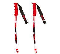 Vola Gs Alu Junior Poles