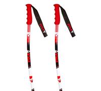 GS ALUMINIUM Senior ski sticks