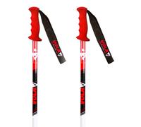 SL ALUMINIUM Senior ski poles