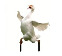 Volakebeing Acrylic Rabbit Lawn Stake For Garden For Yard Patio Pathway Outdoor Two-Dimensional Decorative Purpose(20 * 30)