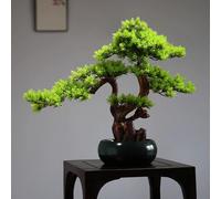 VOLDAX Artificial Plants Indoor with Ceramic Vase Low Maintenance Fake Bonsai Indoor Decor, Arbol De La Vida Spiritual Gifts Home Office Zen Décor