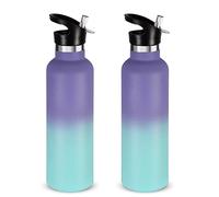 Volhoply 750ml Insulated Water Bottles Bulk 2 Pack,Stainless Steel Double Wall Sport Bottle with Straw Lid,Metal Reusable with Hand Cap for School,Cyclists (Purple-Blue Gradient, 2)