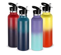 Volhoply 750ml Insulated Water Bottles Bulk 4 Pack,Stainless Steel Double Wall Sport Bottle with Straw Lid,Metal Reusable Cup with Hand Cap for School,Cyclists,Gift (Assorted, 4)