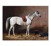 Volkers Grey Horse In Stable Animal Equine Painting Art Print Canvas Premium Wall Decor Poster Mural