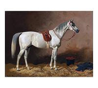 Volkers Grey Horse In Stable Animal Equine Painting Large Wall Art Print Canvas Premium Mural