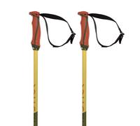 Volkl Phantastick 18mm Poles