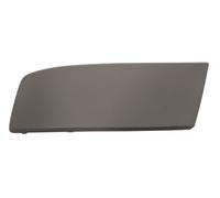 PRASCO VG9191246 Bumper moulding