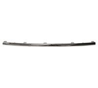 PRASCO VG6201255 Bumper moulding