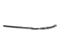 PRASCO VG6201254 Bumper moulding