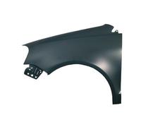 Fits Volkswagen Polo 2005-2009 Front Wing Nearside Left Hand 6Q0821105E 80244210