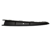 PRASCO VG0251243 Bumper moulding
