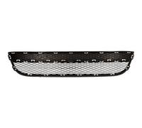 Volkswagen Tiguan 08-11 Front Bumper Grille Lower VG8072120