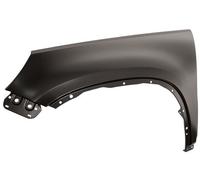 Volkswagen Tiguan Front Wing Left Hand VG8073004 2008-2016