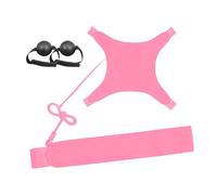 Volleyball Trainer | Professional Adjustable Indoor Practice Aid,Serving Setting Practice Equipment - for Jump Accuracy Techniques Skills Soccer