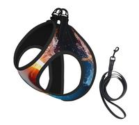 Volleyball With Fire And Ice Compact Pet Suspender Vest-The Perfect Small Pet For A Comfortable Walk
