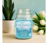 Voltico 18oz Ocean Breeze Scented Jar Candle in Light Blue Voltico Light Blue
