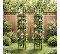 Voltico 2pcs Metal Garden Obelisk 190cm Plant Support Frame in Black | Size: 4000mm x 19000mm Voltico Black 4000mm x 19000mm