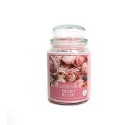 Voltico Large 18oz Scented Glass Jar Candle Natural Soy Wax Long Lasting Fragrance Aromatherapy 104 Hours Burn Time (Peony Blush)