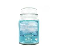 VOLTICO Large 18oz Scented Glass Jar Candle Natural Soy Wax Long Lasting Fragrance with Lid 104 Hour Burn Time Home Decor and Gift Candle (Ocean Breeze)