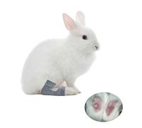 vomvomp 1 Pair Rabbit Socks for Sore Hocks Elbow Protective for Bunny Recovery and Relief Wound Pain