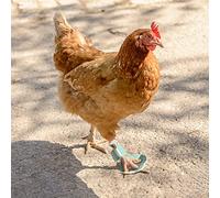 vomvomp 2 Pack Chicken Protective Shoes for Chick Booster Hen Turkey Feet Paws Bumblefoot