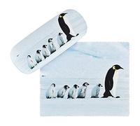 VON LILIENFELD Glasses Case Penguins Present Cleaning Cloth Spectacle Cases Lightweight Stable