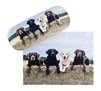 VON LILIENFELD Labrador Retriever Glasses Case Present Cleaning Cloth Spectacle Cases Lightweight Stable Dog Animal