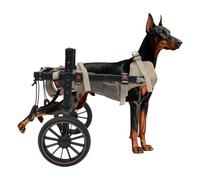 VonVVer Dog Wheelchair for Back Legs | Large Dog, Adjustable Support Cart for Disabled & Injured Pets, Max Load 65kg, 2-Wheel Pet Rehabilitation Walking Aid for Indoor & Outdoor Use